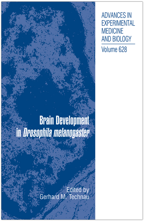 Brain Development in Drosophila melanogaster - 