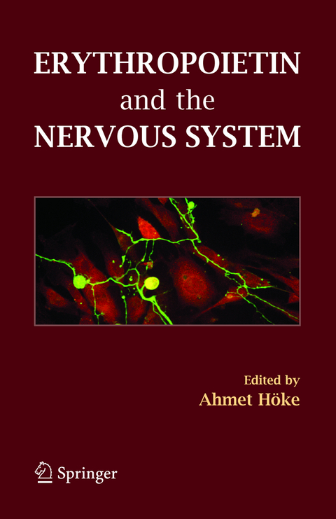 Erythropoietin and the Nervous System - 