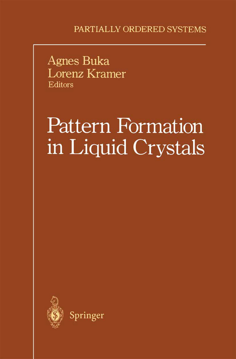 Pattern Formation in Liquid Crystals - 