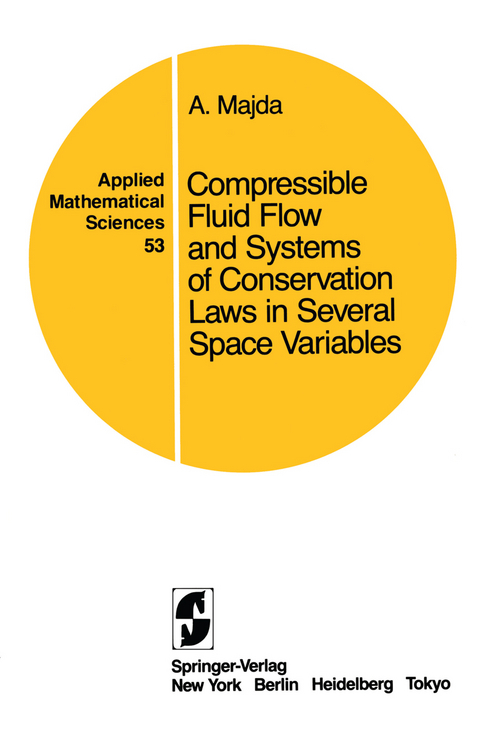 Compressible Fluid Flow and Systems of Conservation Laws in Several Space Variables - A. Majda