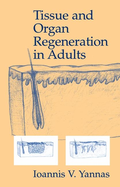 Tissue and Organ Regeneration in Adults - Ioannis V. Yannas