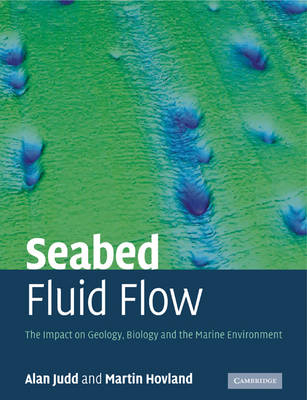 Seabed Fluid Flow -  Martin Hovland,  Alan Judd