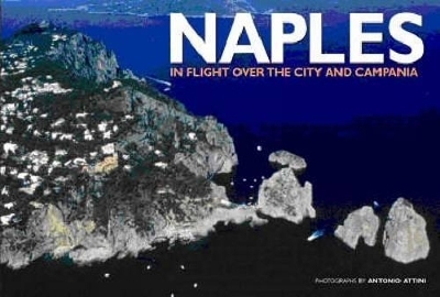 Naples from Above - Antonio Attini