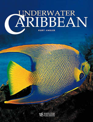 Underwater Caribbean - Kurt Amsler