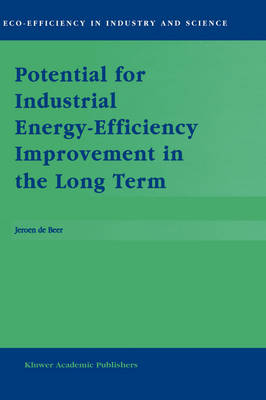 Potential for Industrial Energy-Efficiency Improvement in the Long Term -  J. de Beer