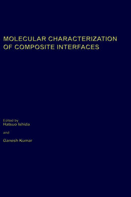 Molecular Characterization of Composite Interfaces - 