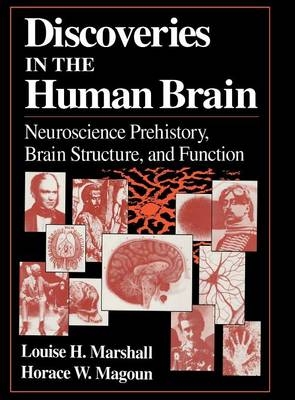 Discoveries in the Human Brain -  Horace W. Magoun,  Louise H. Marshall