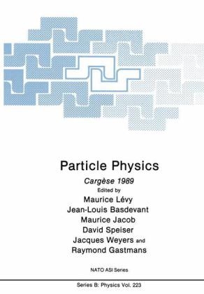 Particle Physics - 