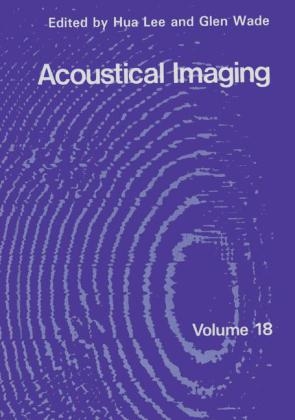 Acoustical Imaging - 