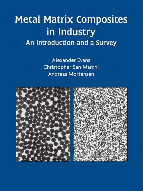 Metal Matrix Composites in Industry -  Alexander Evans,  Christopher San Marchi,  Andreas Mortensen