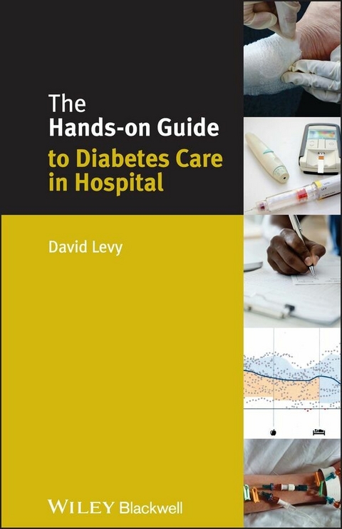 The Hands-on Guide to Diabetes Care in Hospital - David Levy