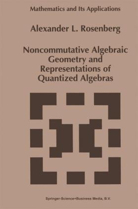 Noncommutative Algebraic Geometry and Representations of Quantized Algebras -  A. Rosenberg