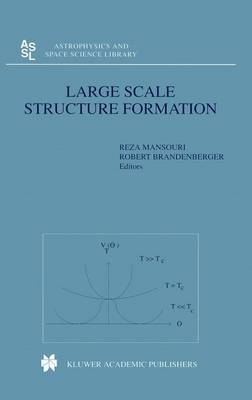 Large Scale Structure Formation - 