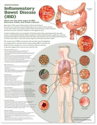 Gastroenterology 4-Chart Set -  Lippincott Williams &  Wilkins