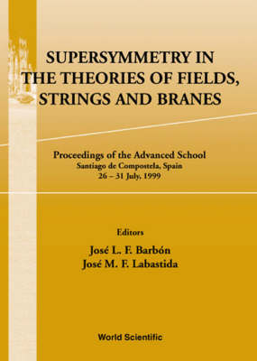 Supersymmetry In The Theories Of Fields, Strings & Branes, Procs Of The Advanced School - 