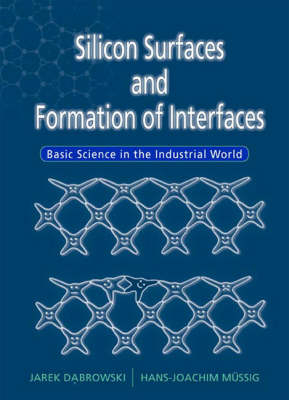 Silicon Surfaces And Formation Of Interfaces: Basic Science In The Industrial World - Jarek Dabrowski, Hans-Joachim Mussig