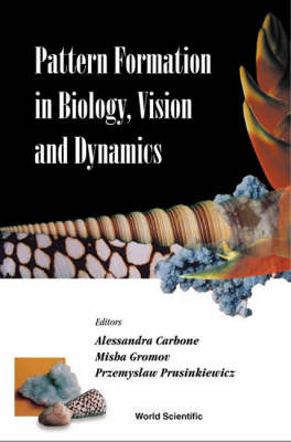 Pattern Formation In Biology, Vision And Dynamics - 