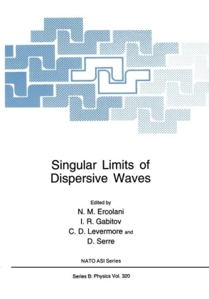 Singular Limits of Dispersive Waves - 