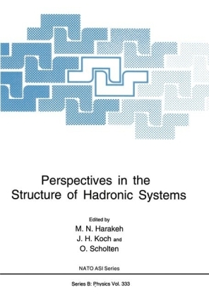 Perspectives in the Structure of Hadronic Systems - 