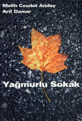 Yagmurlu Sokak - Melih Cevdet Anday, Arif Damar