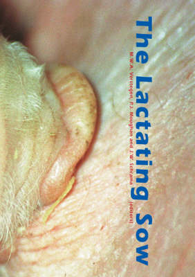 The Lactating Sow - 