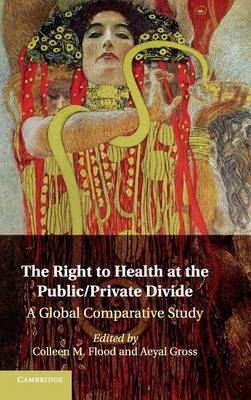 The Right to Health at the Public/Private Divide - 