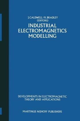 Industrial Electromagnetics Modelling - 