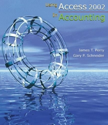 Using Access 2002 in Accounting - James T. Perry, Gary P. Schneider