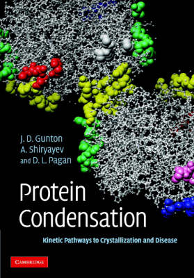 Protein Condensation - James D. Gunton, Andrey Shiryayev, Daniel L. Pagan