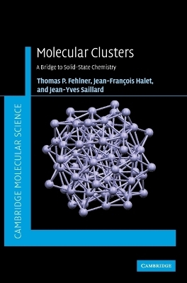 Molecular Clusters - Thomas Fehlner, Jean-Francois Halet, Jean-Yves Saillard