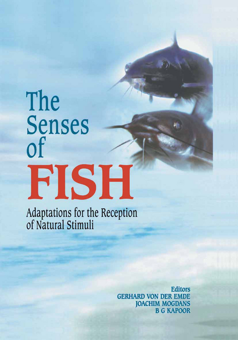 The Senses of Fish - 