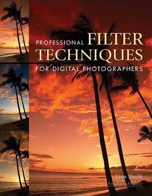 Professional Filter Techniques For Digital Photographers - Stan Sholik