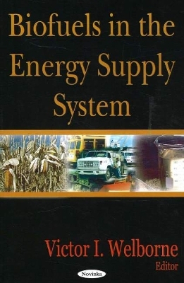 Biofuels in the Energy Supply System - 