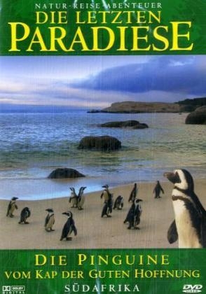 Die Pinguine vom Kap der Guten Hoffnung, 1 DVD