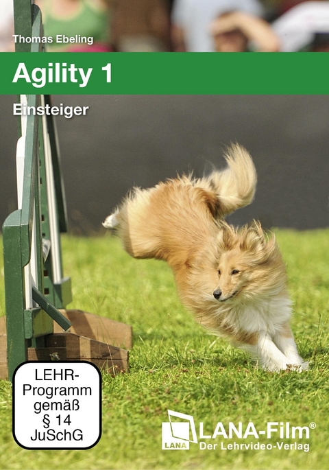 Agility 1 - Einsteiger - Thomas Ebeling