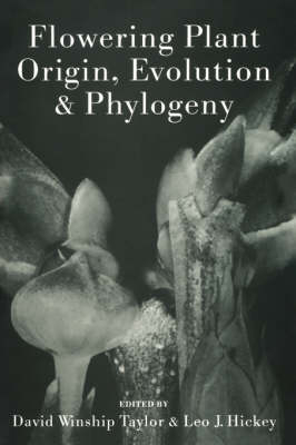 Flowering Plant Origin, Evolution & Phylogeny - 