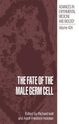 Fate of the Male Germ Cell - 