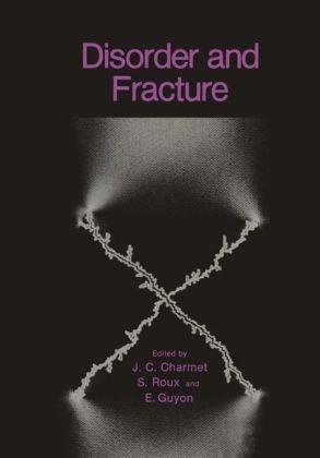 Disorder and Fracture - 