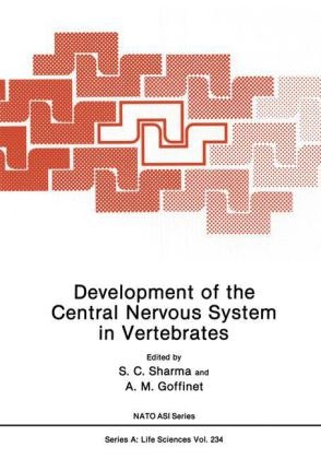 Development of the Central Nervous System in Vertebrates - 