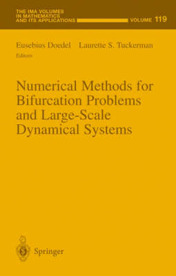 Numerical Methods for Bifurcation Problems and Large-Scale Dynamical Systems - 