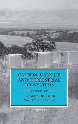 Carbon Dioxide and Terrestrial Ecosystems - 