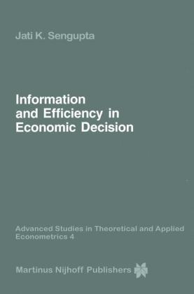 Information and Efficiency in Economic Decision -  Jati Sengupta