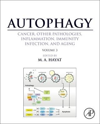 Autophagy: Cancer, Other Pathologies, Inflammation, Immunity, Infection, and Aging - 