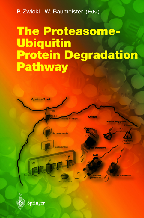 The Proteasome — Ubiquitin Protein Degradation Pathway - 