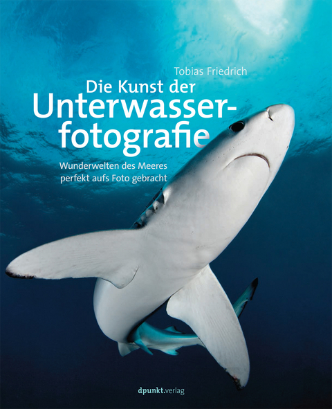 Die Kunst der Unterwasserfotografie - Tobias Friedrich