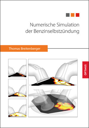 Numerische Simulation der Benzinselbstzündung - Thomas Breitenberger