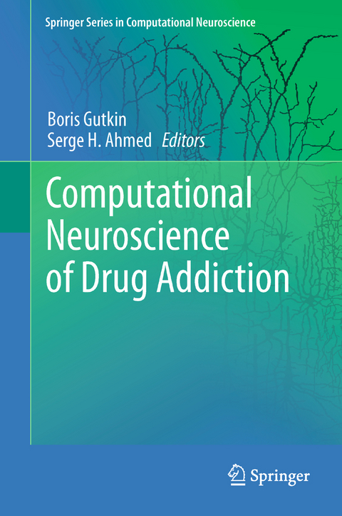 Computational Neuroscience of Drug Addiction - 