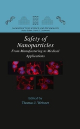 Safety of Nanoparticles - 