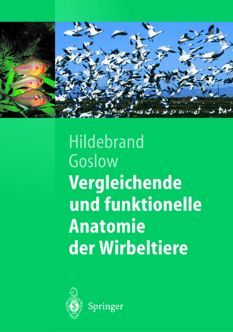 Vergleichende und funktionelle Anatomie der Wirbeltiere - Milton Hildebrand, George Goslow