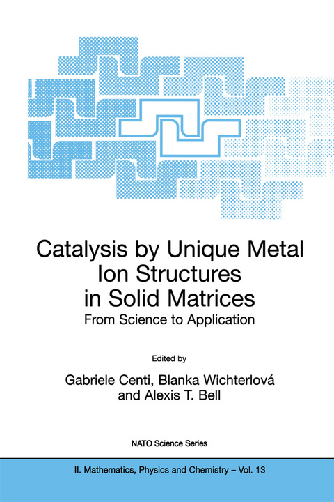 Catalysis by Unique Metal Ion Structures in Solid Matrices - 